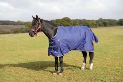 Shires Highlander Plus 100g Horse Turnout Horse Blanket with Standard Neck