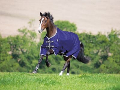 Shires Highlander Plus Lite Turnout Horse Blanket with Standard Neck