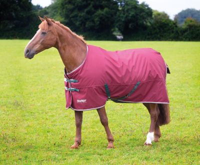 Shires Highlander Original Miniature Horse Blanket, 200g