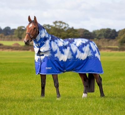 Shires Tempest Original Horse Turnout Blanket, 200g