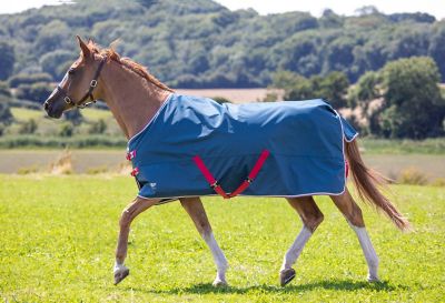 Image showing  Tempest Original Lite Turnout Horse Blanket