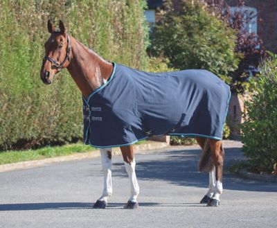 Image showing  Tempest Original Polyester Horse Stable Sheet