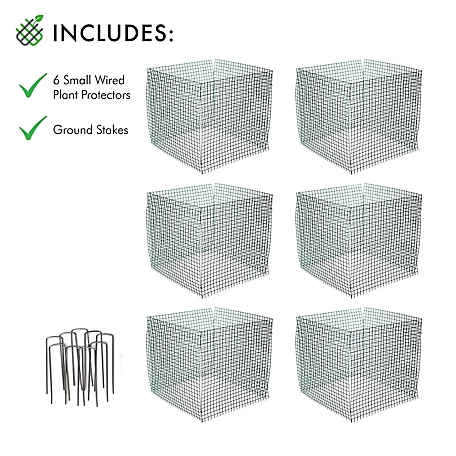 WiredWorks 12 in. Plant Protectors, 6-Pack
