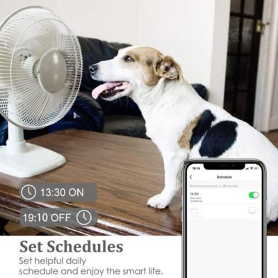 Image showing  10A 2-Outlet Smart Capsule Wi-Fi Plug