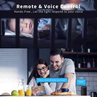 Image showing  120V Smart Wi-Fi Single-Pole Switch with RF Remote