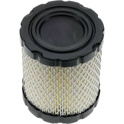Image showing  Replacement Air Filter for Briggs & Stratton 798897