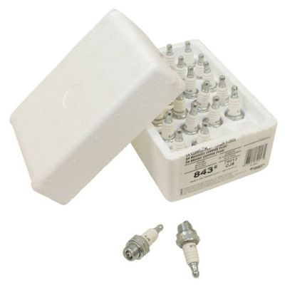 Image showing  Spark Plug Shop Pack for Champion CJ8, 843S Plug Type Standard, Priced per Pack, Sold per Pack, 130-450