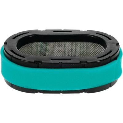 Image showing  Air Filter Combo for Briggs & Stratton, D160, D170, LA155, LA165, LA175, Z245 and Z425