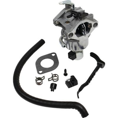 Stens Replacement OEM Carburetor for Briggs & Stratton 31M977, 31N607, 31P677, 31Q677 and 31P977 796110, 792768, 790023