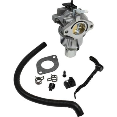 Image showing  Carburetor for Briggs & Stratton 31M977, 31N607, 31P677, 31Q677 and 31P977 796110, 792768, 790023, 594605