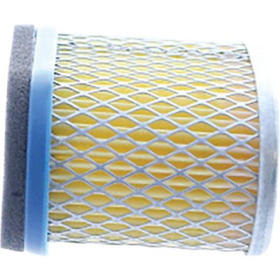 Image showing  Replacement Air Filter for Briggs & Stratton 123602, 123607 and 123672 98-9212, 692446, 4224