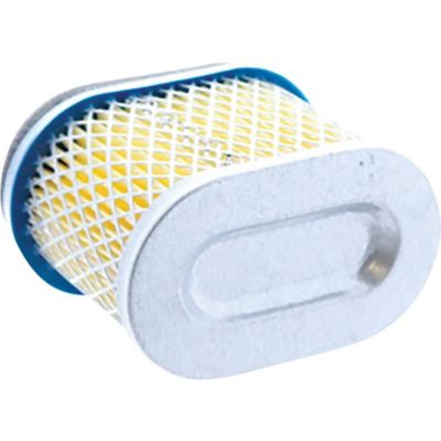 Image showing  Replacement Air Filter for Briggs & Stratton 123602, 123607 and 123672 98-9212, 692446, 4224