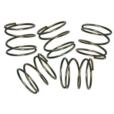 Stens Trimmer Head Spring Shop Pack for Echo GT2000 2-Line Bump Feed Head Models, 5-Pack