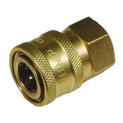 Stens General Pump Coupler, 1/4 in. Inlet, 5,000 Max PSI, Replaces OEM D10001