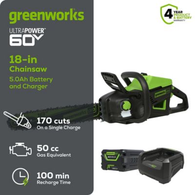 Image showing  18 in. 60V Cordless Chainsaw, Battery and Charger Included, 0.050 in. Gauge
