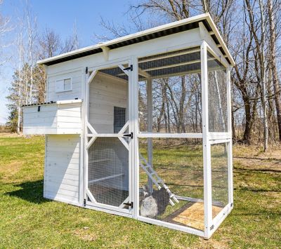 Zylina Modern Walk-In Hen House Chicken Coop, Modern White