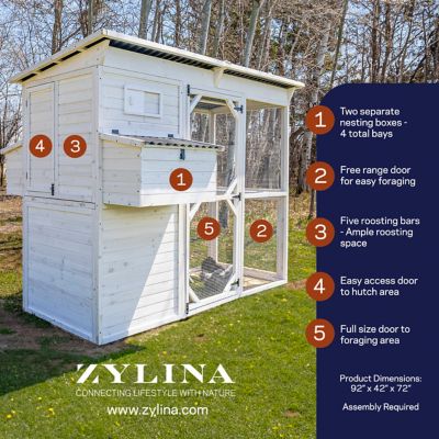 Image showing  Modern Walk-In Hen House Chicken Coop, 8 Chicken Capacity, Modern White