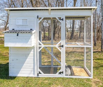 Image showing  Modern Walk-In Hen House Chicken Coop, 8 Chicken Capacity, Modern White