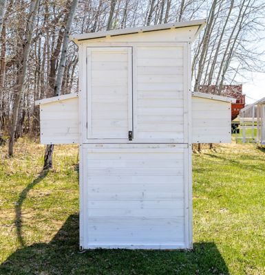 Image showing  Modern Walk-In Hen House Chicken Coop, 8 Chicken Capacity, Modern White