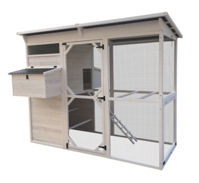 Image showing 6 th Zylina Modern Walk-In Hen House Chicken Coop, 8 Chicken Capacity, Modern White