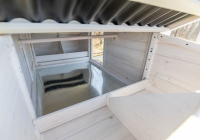 Image showing 7 th Zylina Modern Walk-In Hen House Chicken Coop, 8 Chicken Capacity, Modern White