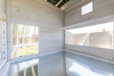 Image showing 8 th Zylina Modern Walk-In Hen House Chicken Coop, 8 Chicken Capacity, Modern White