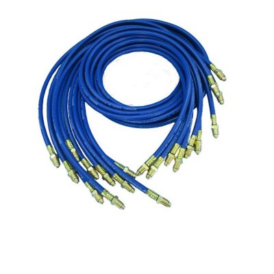 Image showing  Argon/Inert Hose Assembly, 1/4 in. Diameter, 10 ft. Length