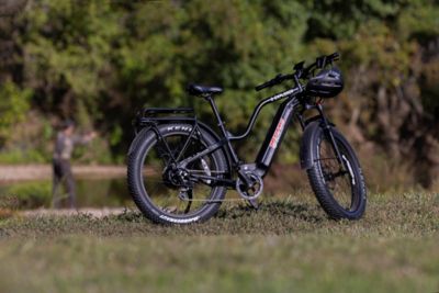 Image showing 9 th Young Electric Unisex 7-Speed E-Explorer Single Battery Off-Road E-Bike, Size M, Black
