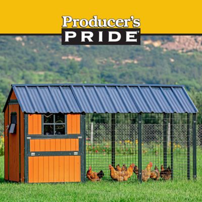 Image showing  Guardian Chicken Coop, 14 Chicken Capacity