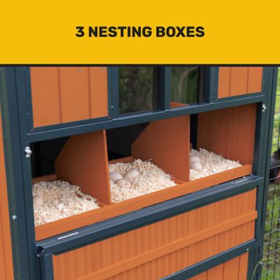 Image showing  Guardian Chicken Coop, 14 Chicken Capacity