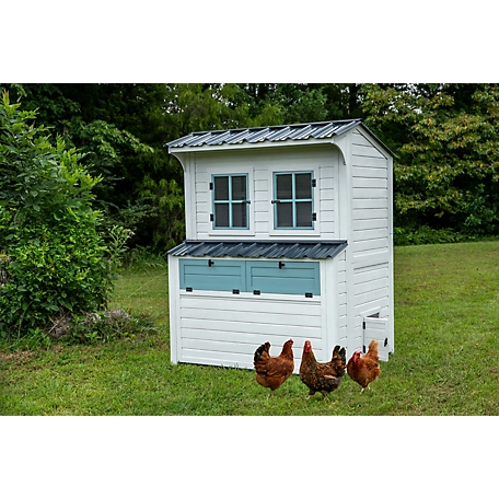 Producer's Pride Free Range Chicken Coop, 18 Chicken Capacity