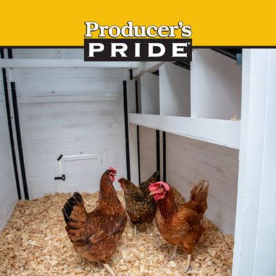 Image showing  Free Range Chicken Coop, 18 Chicken Capacity, White/Blue