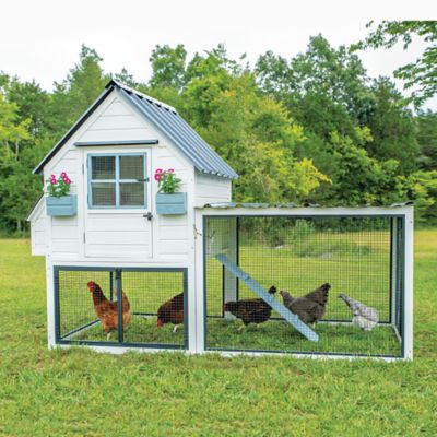 Producer's Pride Villa Chicken Coop, 12 Chicken Capacity