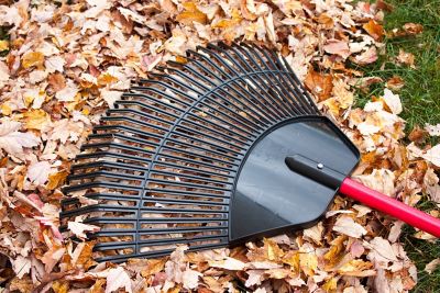 Image showing 7 th Bully Tools 30 in. Polypropylene Lawn/Leaf Rake with Fiberglass Handle