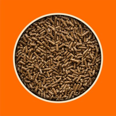 Image showing  Hay Stretcher Pelleted Horse Feed, 50 lb. Bag