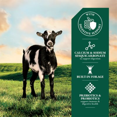 Image showing  Apple Flavor Goat Treats with Digestive Support, 4 lb.