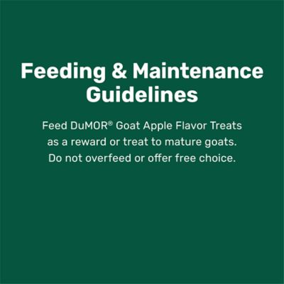 Image showing 6 th DuMOR Apple Flavor Goat Treats with Digestive Support, 4 lb.