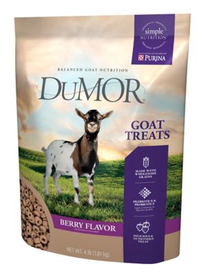 DuMOR Berry Flavor Goat Treats, 4 lb.