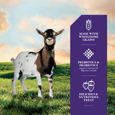 Image showing  Berry Flavor Goat Treats, 4 lb.