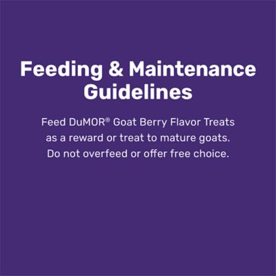 Image showing 6 th DuMOR Berry Flavor Goat Treats, 4 lb.