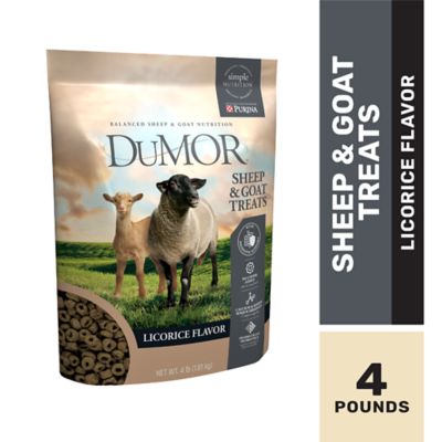 DuMOR Licorice Flavor Sheep and Goat Treats with Digestive Support, 4 lb. My two ewe lambs love this