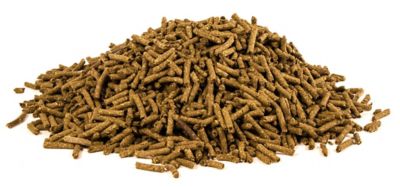 Image showing  Horse Joint Supplement, Pelleted, 4 lb.