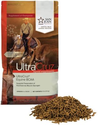 UltraCruz Equine BCAA Supplement for Horses, 10 lb.