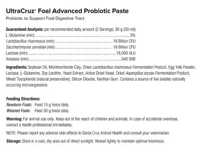 Image showing  Foal Advanced Probiotic Paste Supplement, 60 mL (60 g), 2 Day Supply