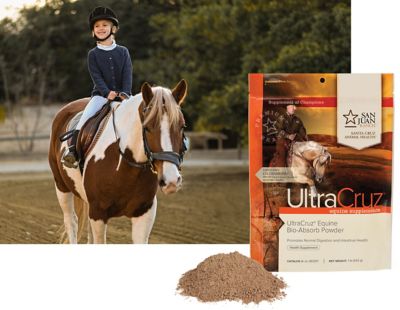 Image showing  Equine Bio-Absorb Supplement for Horses, 1 lb.