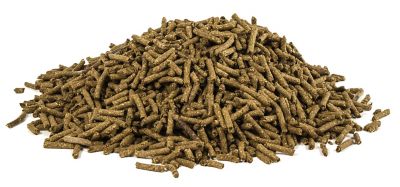 Image showing  Aloe Vera Supplement for Horses, 30 Singles