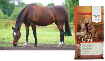 Image showing  Equine Pure Psyllium Supplement for Horses, 10 lb.