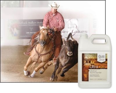 Image showing  Equine Liqui-Sel Supplement for Horses, 1 gal.