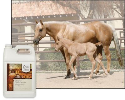 Image showing  Equine Liqui-Sel Supplement for Horses, 1 gal.