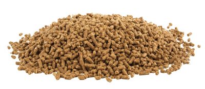 Image showing 2 th UltraCruz Equine Natural Vitamin E Plus Supplement for Horses